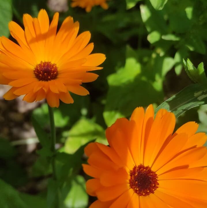 cropped-WhatsApp-Image-2026-05-31-at-15.14.07-2.jpeg